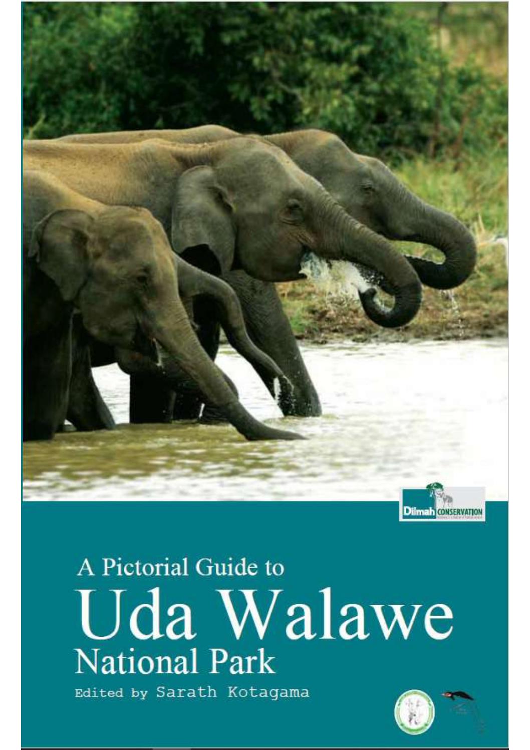 A Pictorial Guide To Uda Walawe National Park By Dilmah Issuu