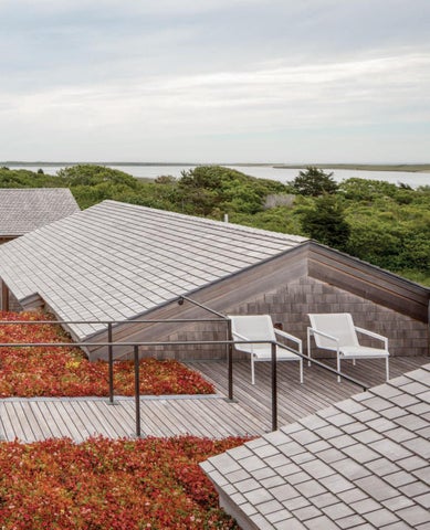 Hutker Architects 灯饰目录 · 乡村 Redefined 第 11 页