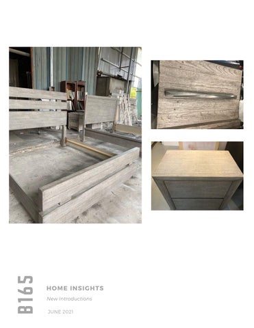 家居 Insights - New Introductions June 2021 第 24 页