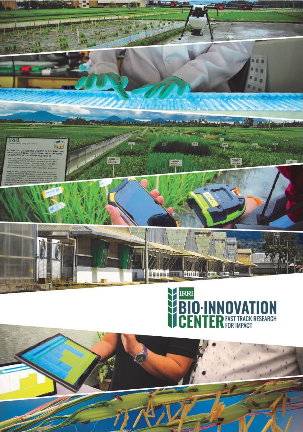 IRRI BioInnovation Center Brochure by Glenn Concepcion Issuu