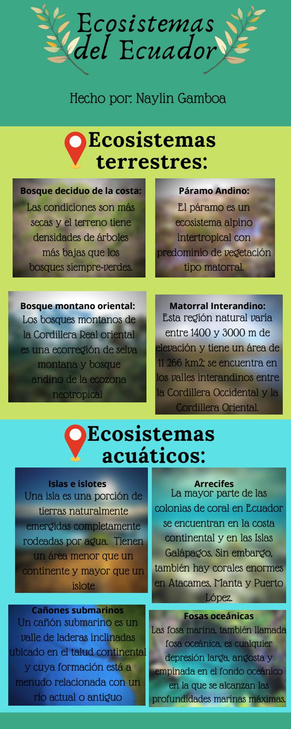 Ecosistemas Del Ecuador By Brisette Gamboa Issuu