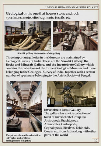 CASE STUDY ON MUSEUM 第 16 页
