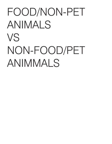 Animals and People Final / HAS Origami 第 13 页