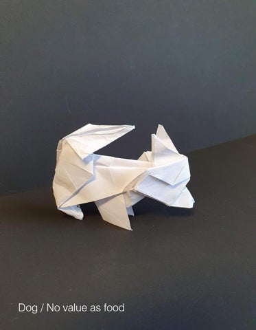 Animals and People Final / HAS Origami 第 19 页