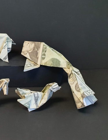 Animals and People Final / HAS Origami 第 21 页