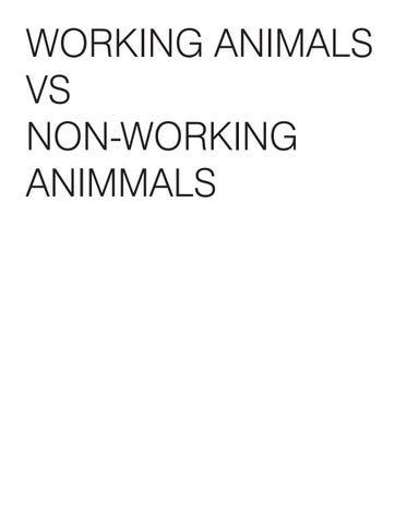 Animals and People Final / HAS Origami 第 23 页