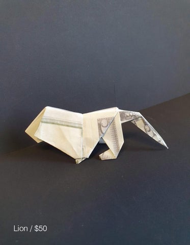 Animals and People Final / HAS Origami 第 5 页