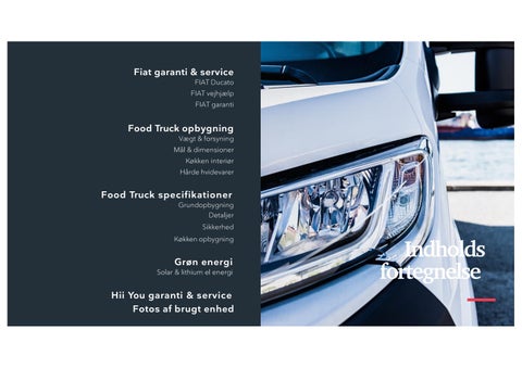 Extra lang professionel Food Truck 第 3 页