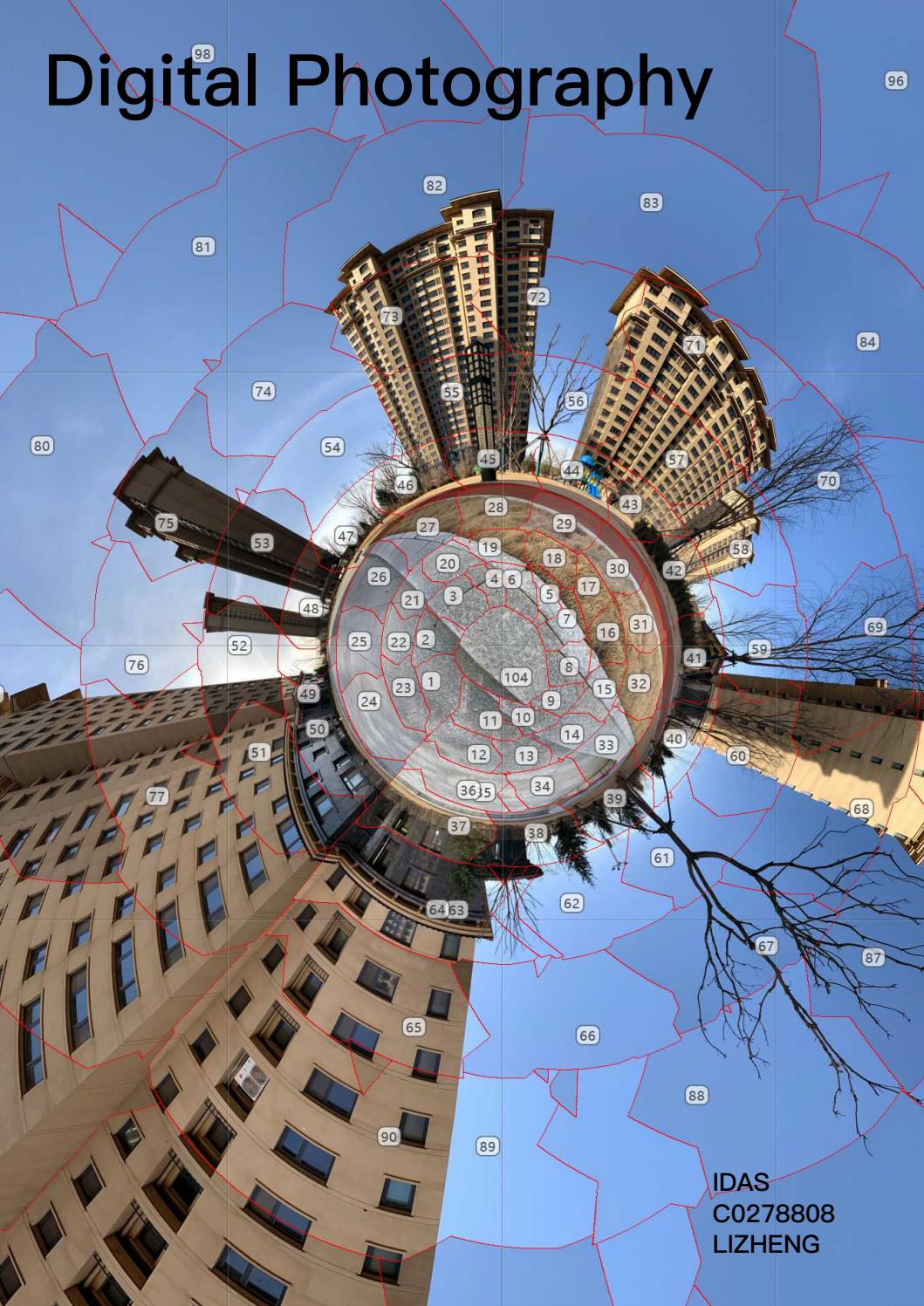 Digital Photography final project(2021 spring) by lizhenglegend Issuu