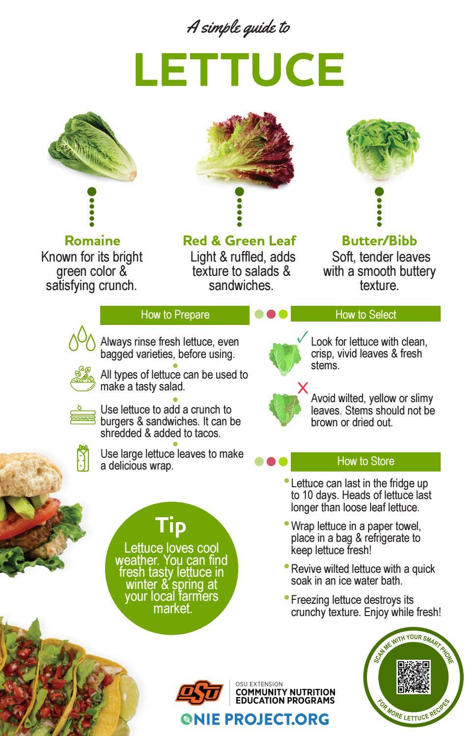 Lettuce - A Simple Guide by The ONIE Project - Issuu