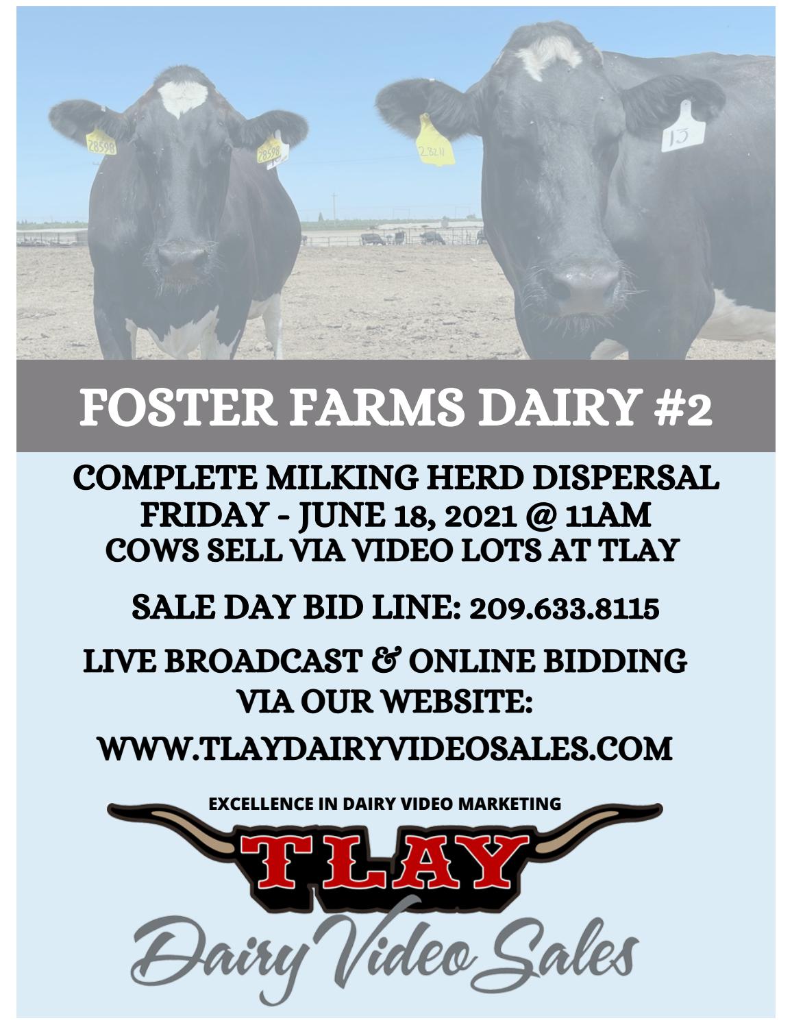 Foster Farms Dairy 2 Complete Milking Herd Dispersal Catalog by TURLOCK LIVESTOCK AUCTION YARD