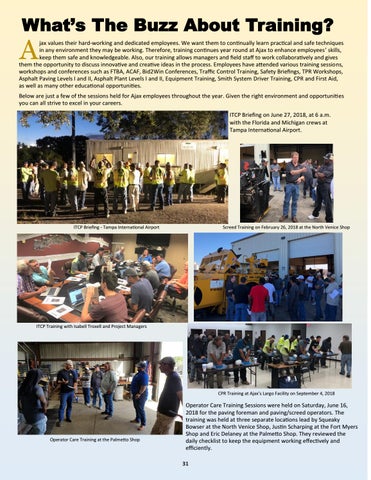 Page 31