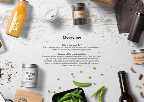 CareFood Brand 指南 第 2 页