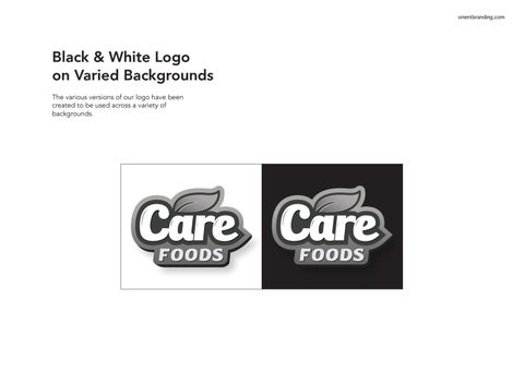 CareFood Brand 指南 第 8 页