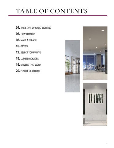 GENESIS: Elevating Downlights 第 3 页