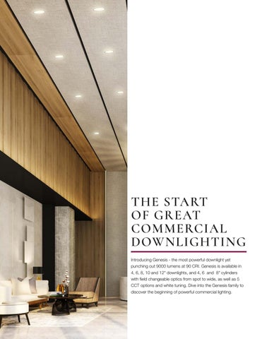 GENESIS: Elevating Downlights 第 4 页
