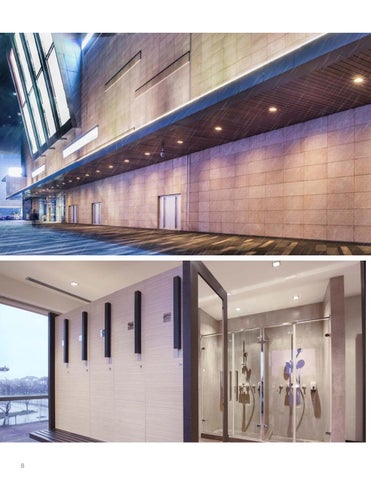 GENESIS: Elevating Downlights 第 8 页