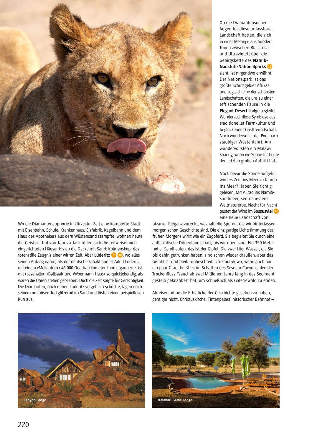 Chamäleon Katalog 2022 by Chamäleon Issuu