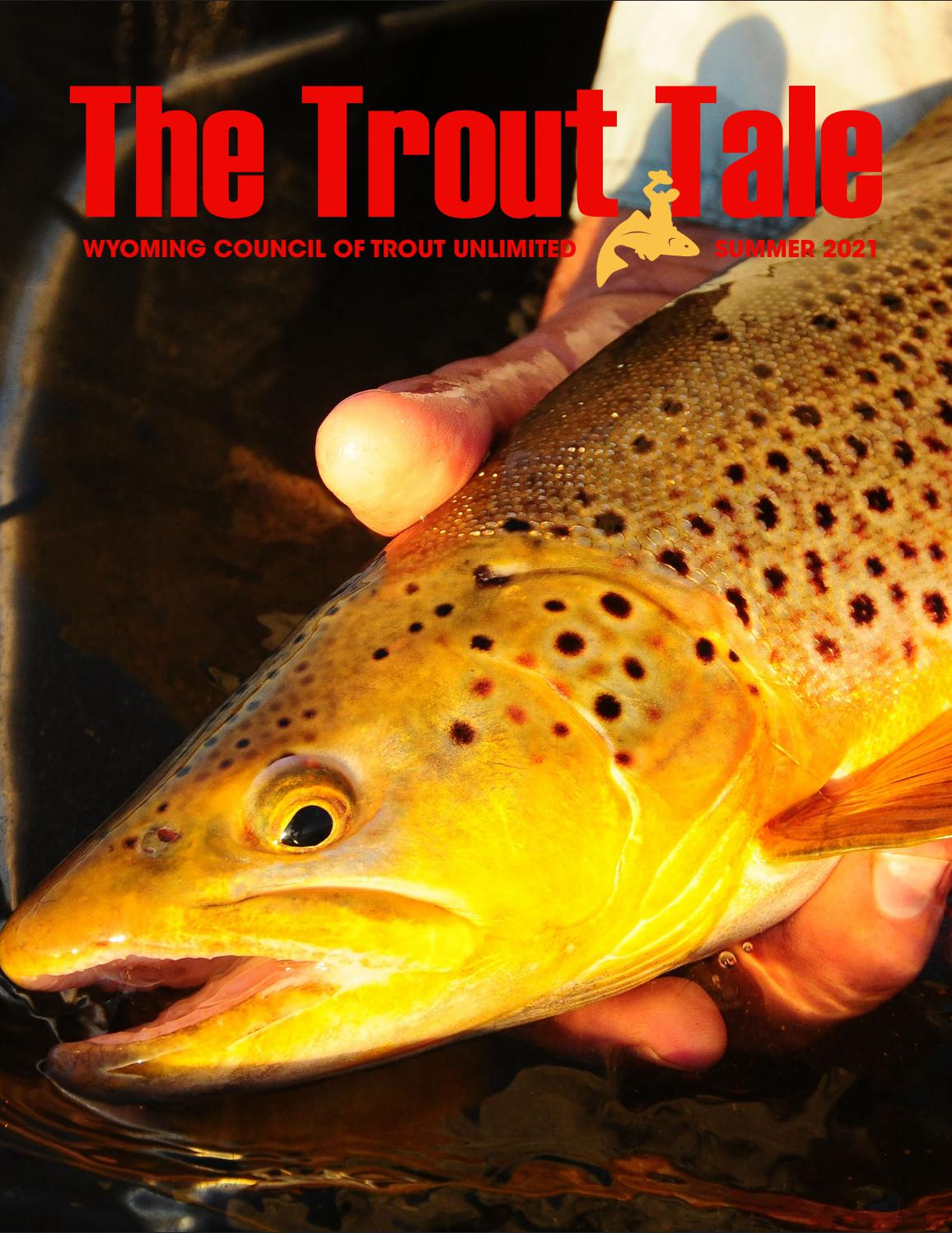 Wyoming Trout Unlimited Summer 2021 Newsletter by WYTUnewsletter Issuu