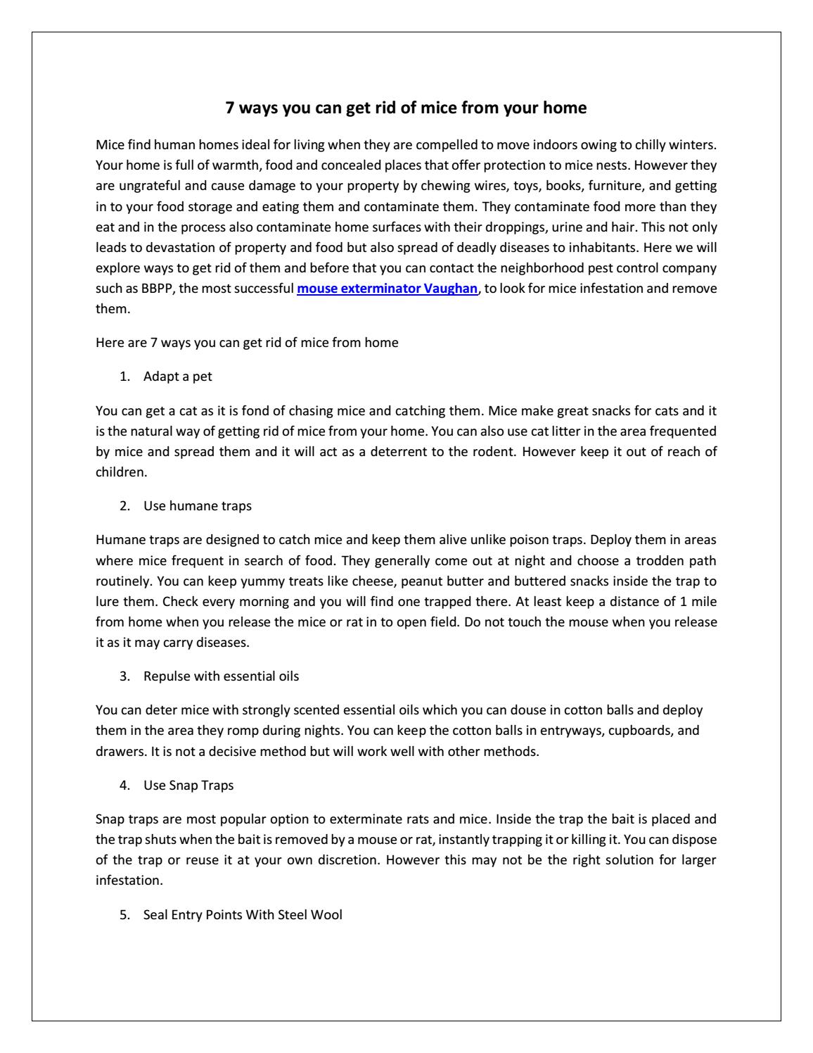 7 ways you can get rid of mice from your home by B.B.P.P. The Best Bug