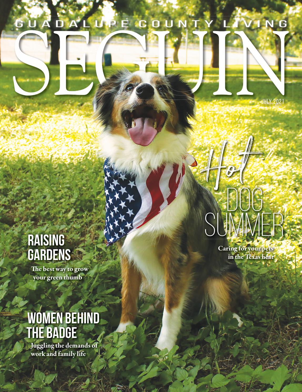 د همجنسبازانو ایپ نیټه