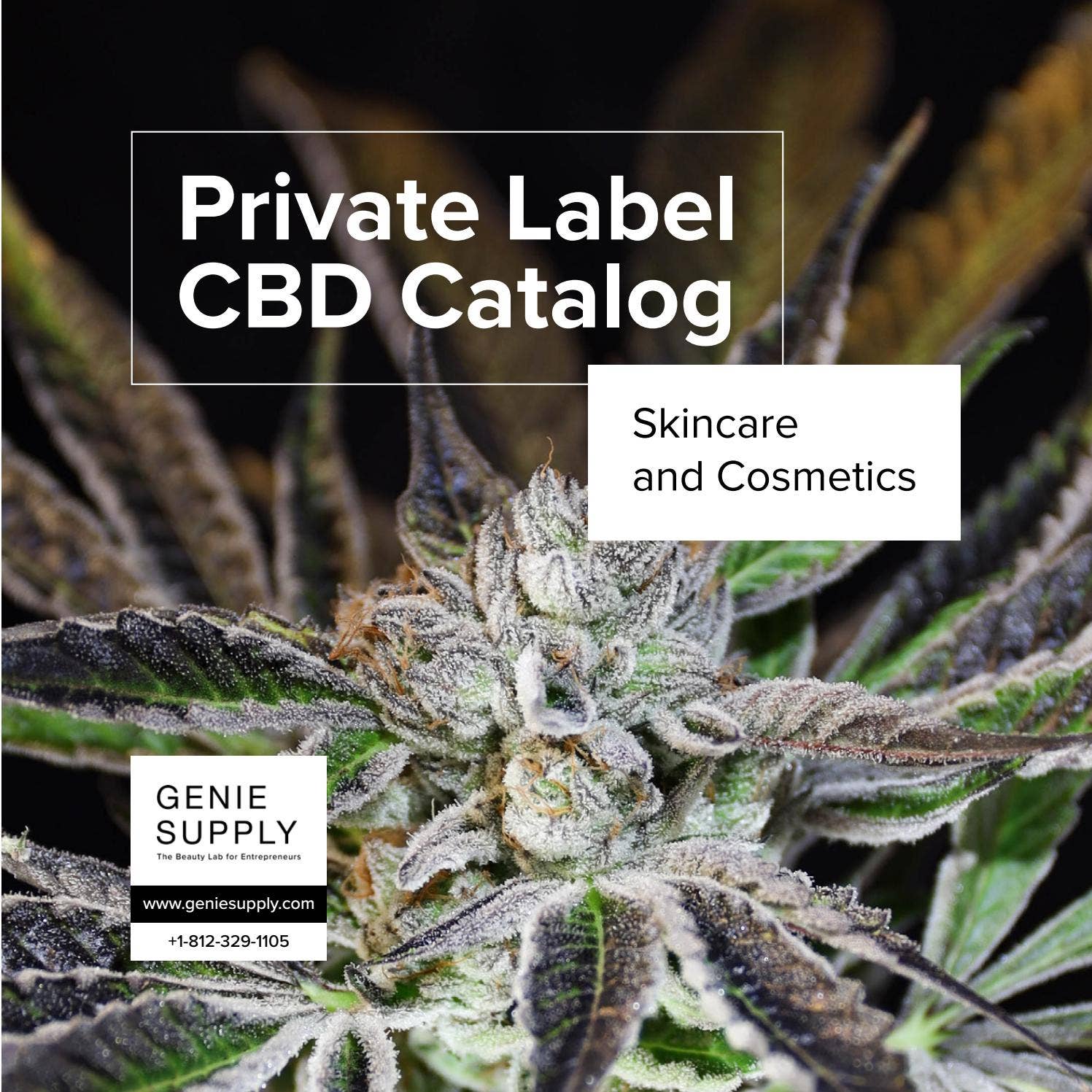 CBD Catalog F/W 2021 by geniesupply Issuu