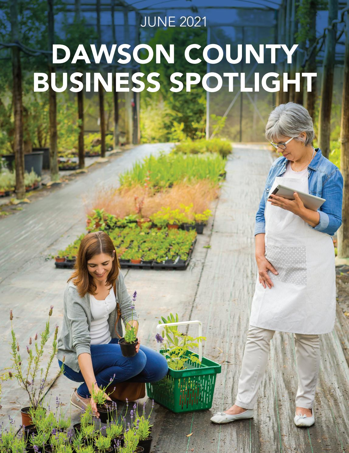 Dawson County Business Spotlight 2021 by The Times Issuu