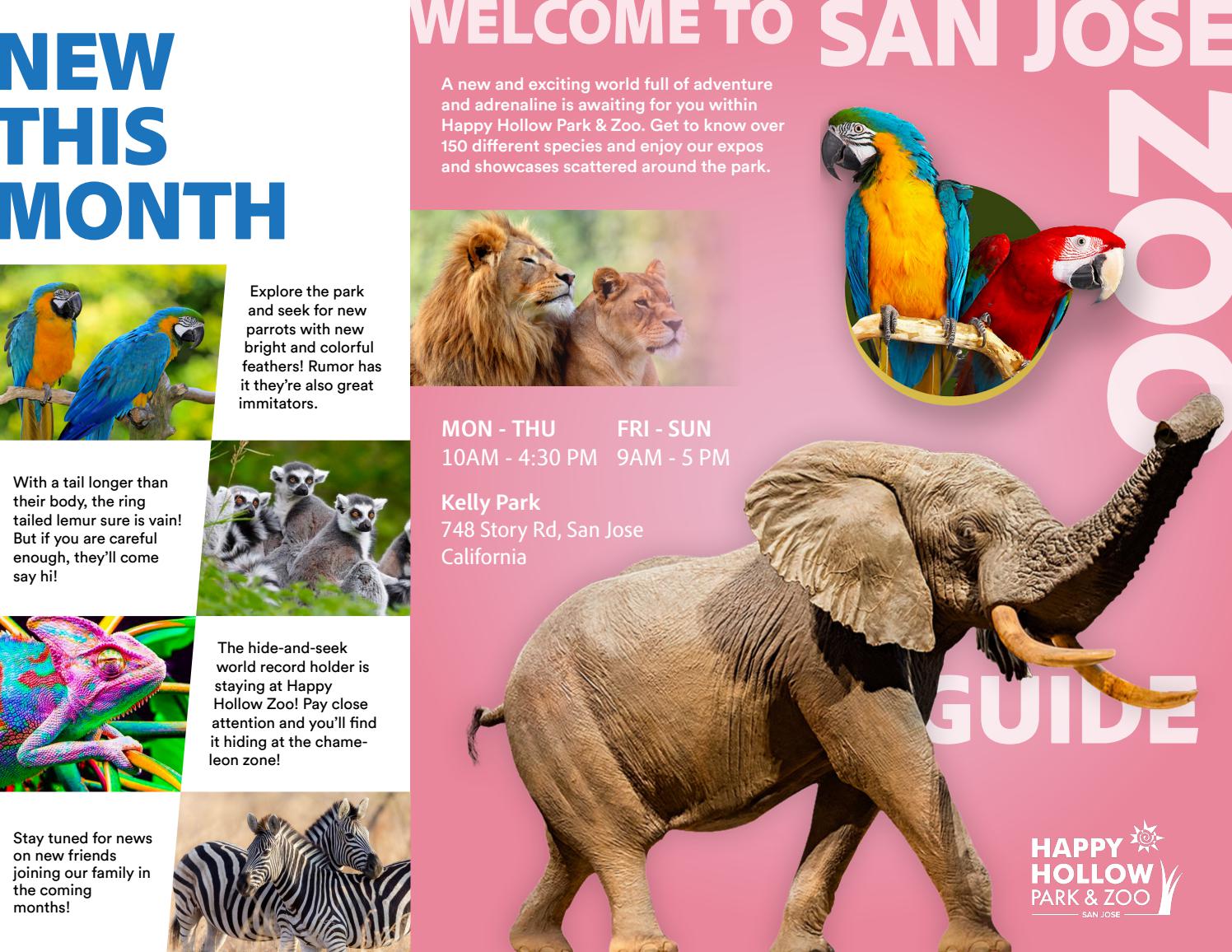 San Jose Zoo Pamphlet Concept by OfficialHoSay - Issuu