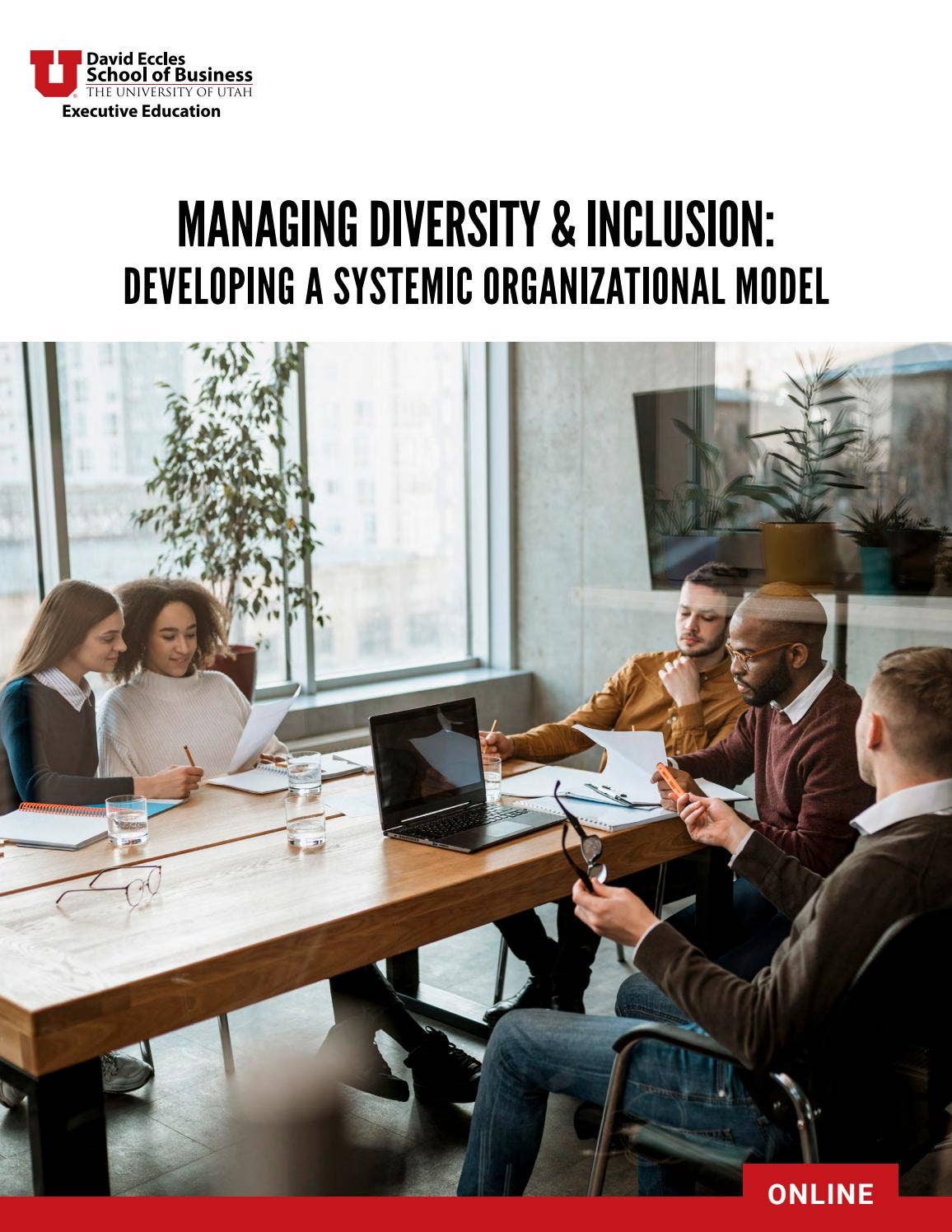 Managing Diversity and Inclusion- Developing a Systemic Organizational ...