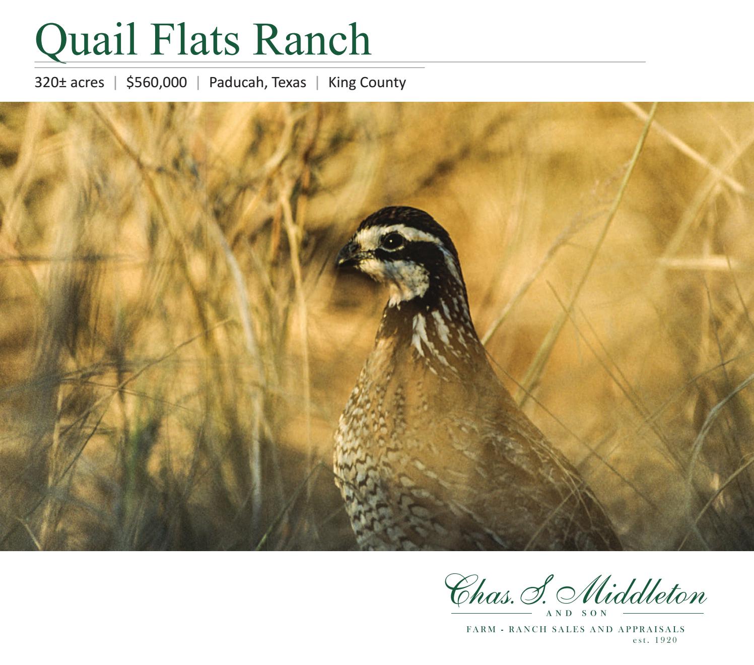 Quail Flats Ranch by csmandson Issuu