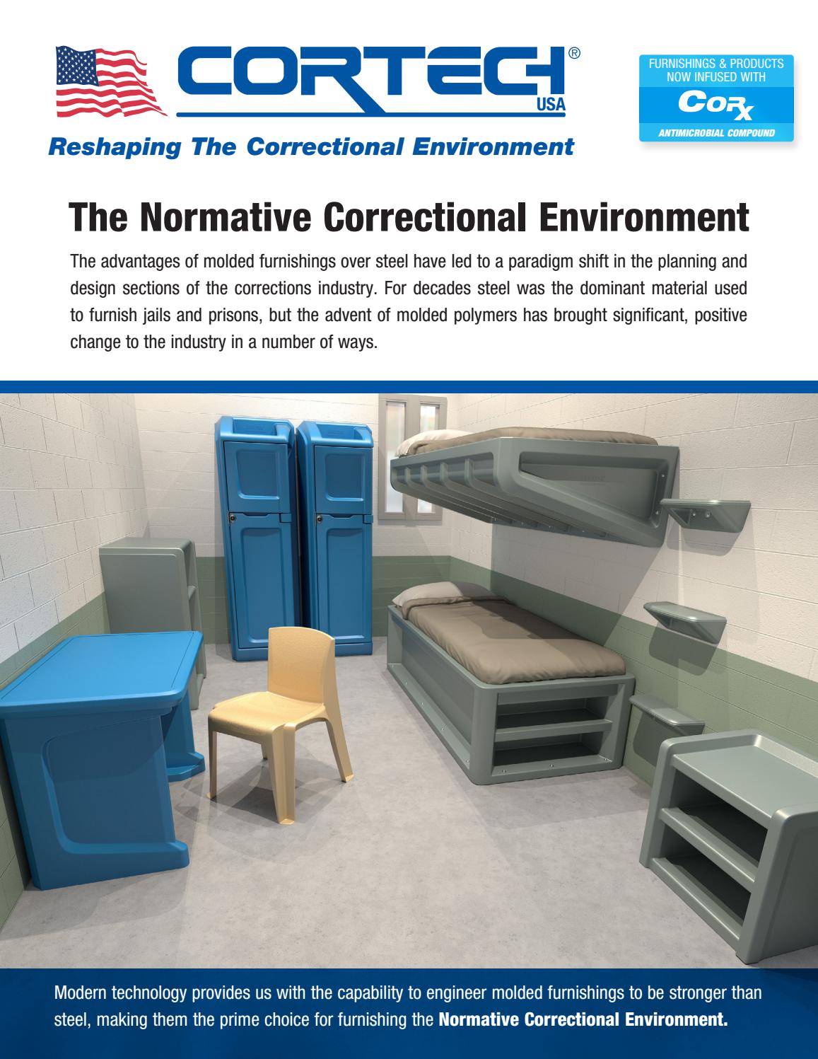 The Normative Correctional Environment by Allegra Marketing, Print