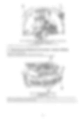 Page 335