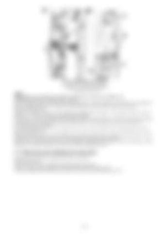 Page 345