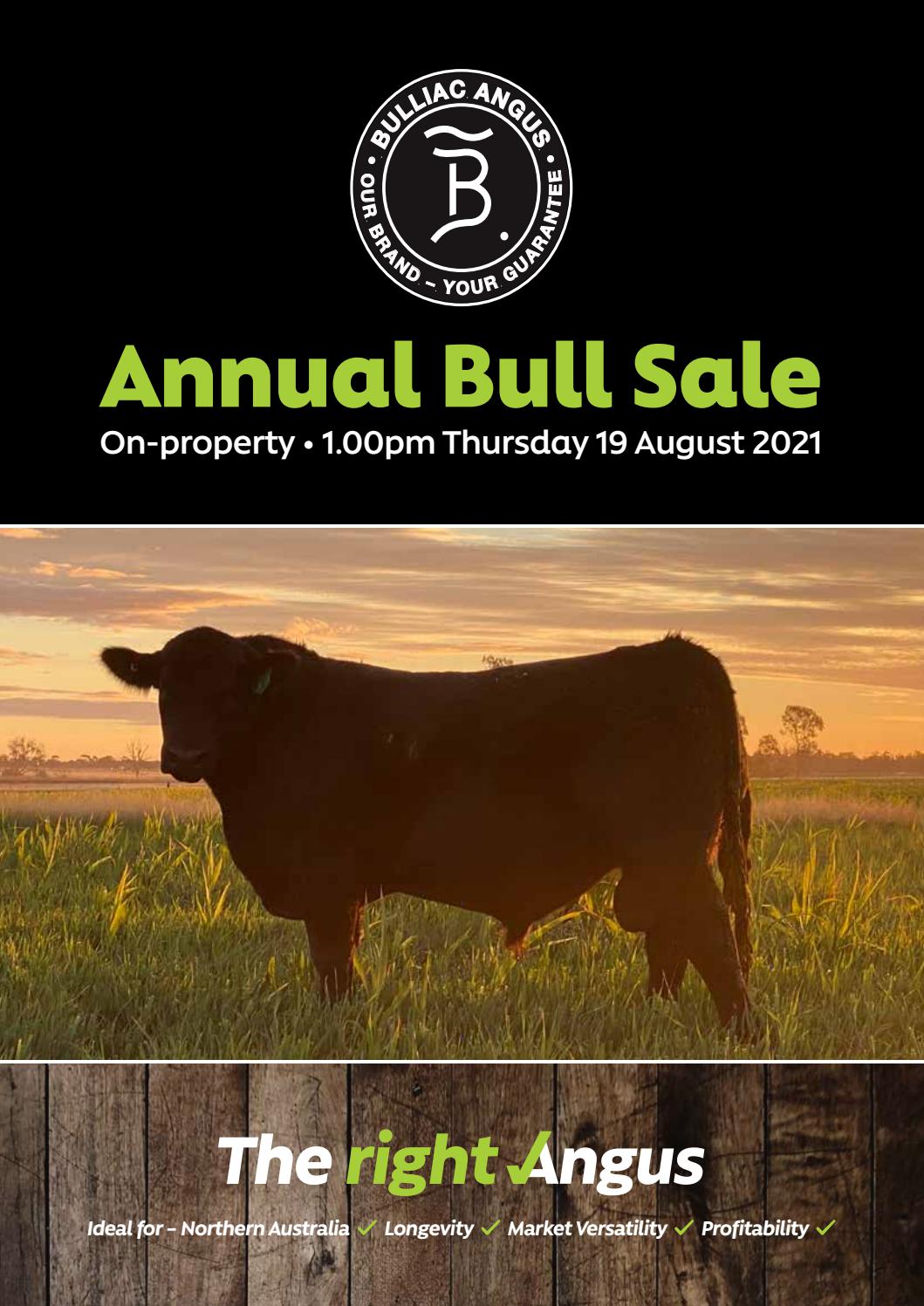 2021 Bulliac Angus Bull Sale by Marg Will Issuu