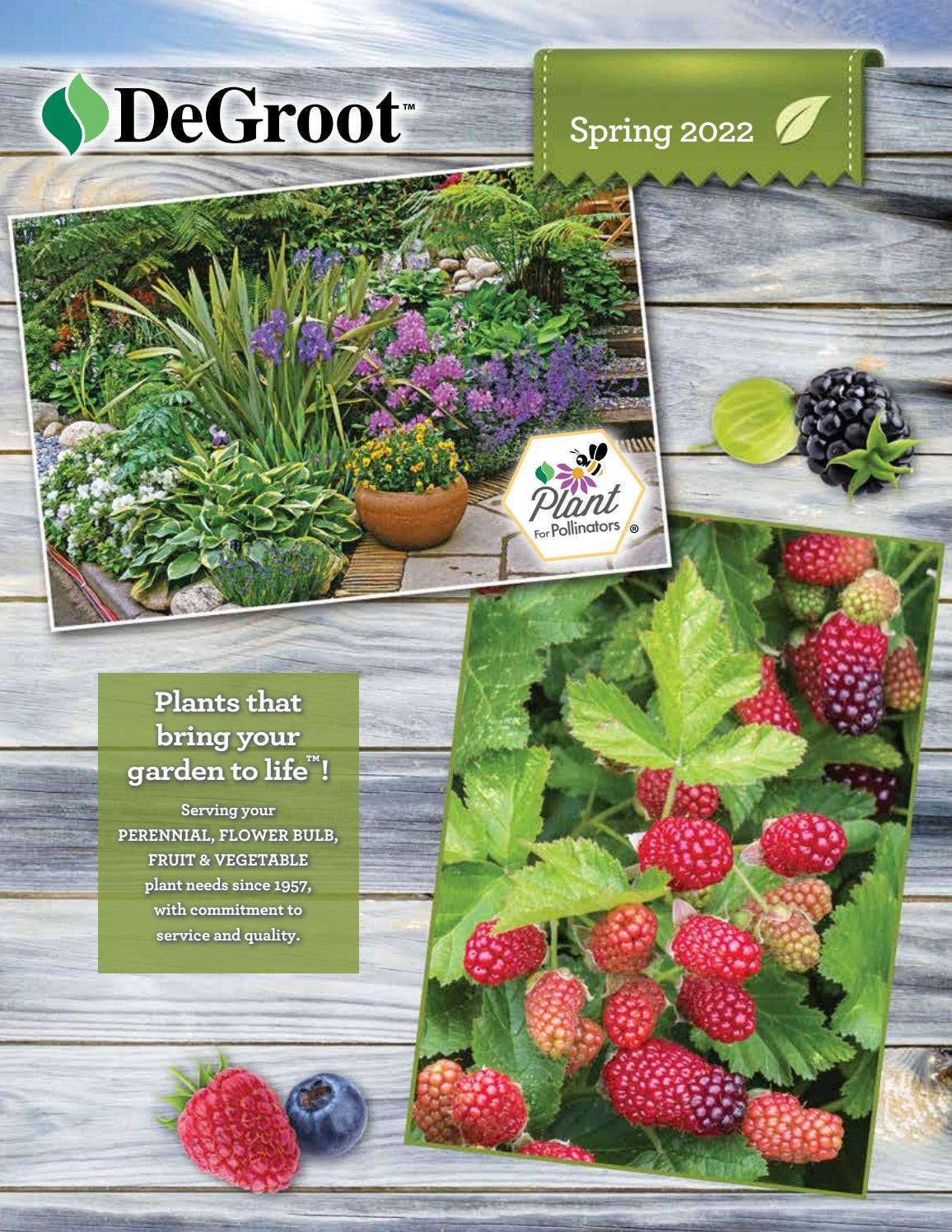 DeGroot Spring Catalog 2022 by 530media Issuu
