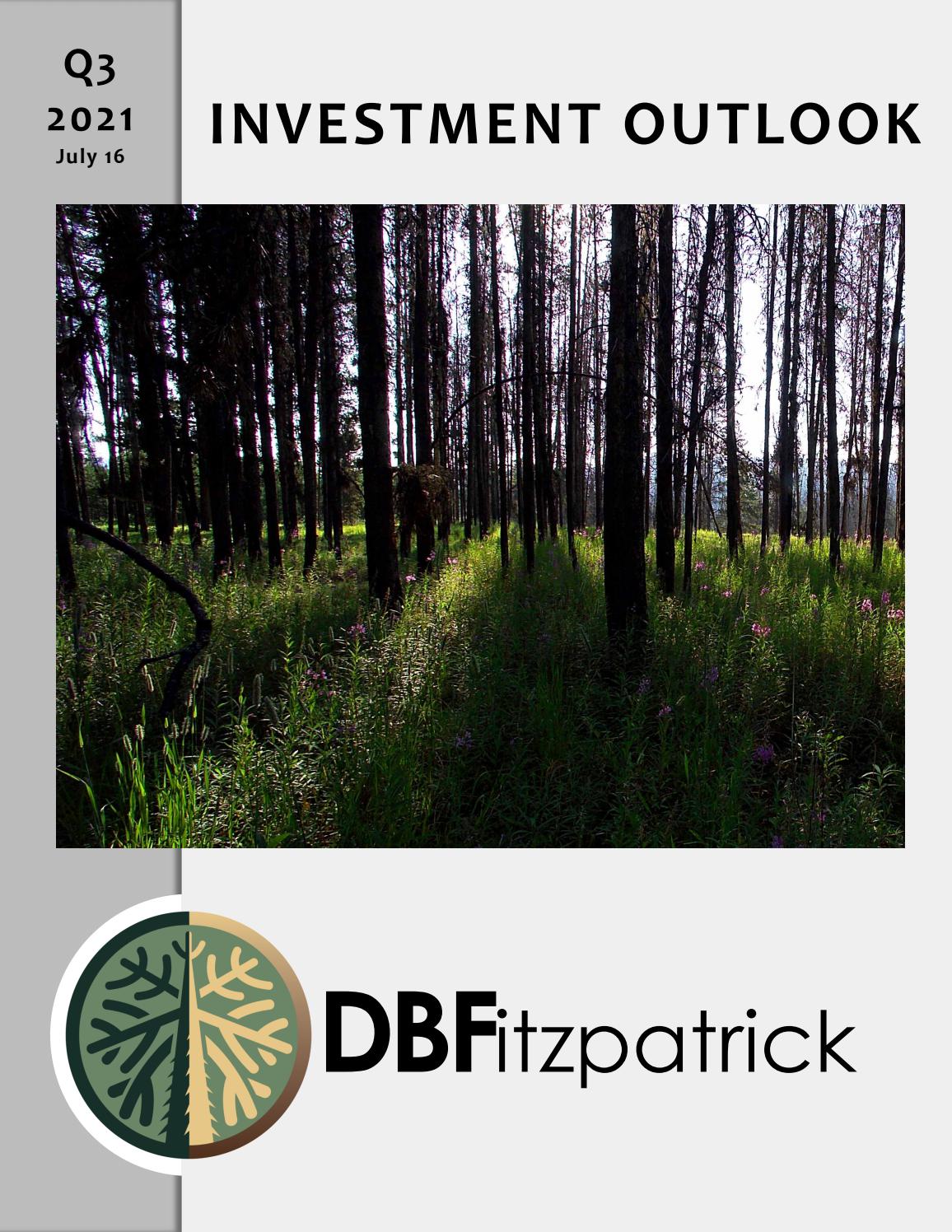 Investment Outlook Q3, 2021 by Brandon Fitzpatrick Issuu