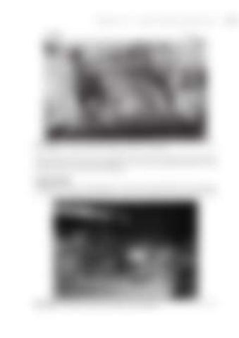 Page 278
