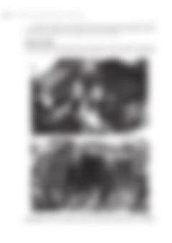 Page 289