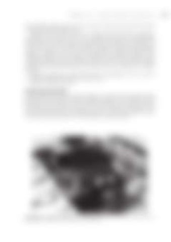 Page 290