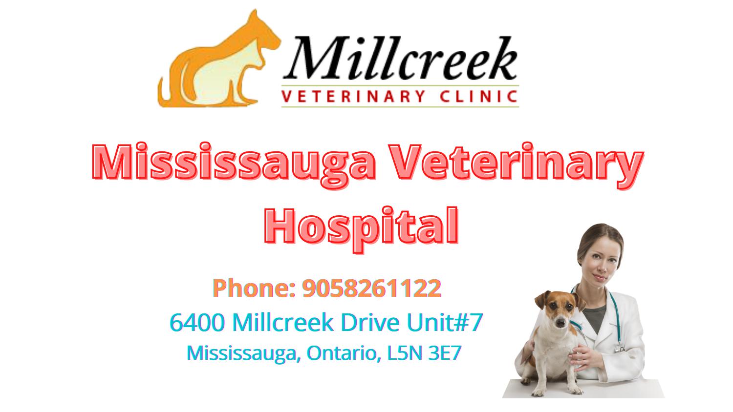 Mississauga Veterinary Hospital MillCreek Veterinary Clinic by Millcreek Veterinary Clinic Issuu