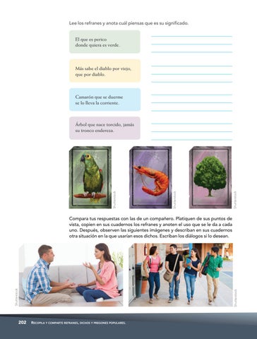 Page 204