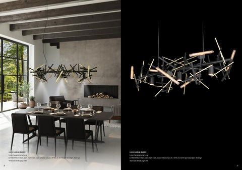 Diez Company BRAND VAN EGMOND 2020 灯饰目录 第 12 页