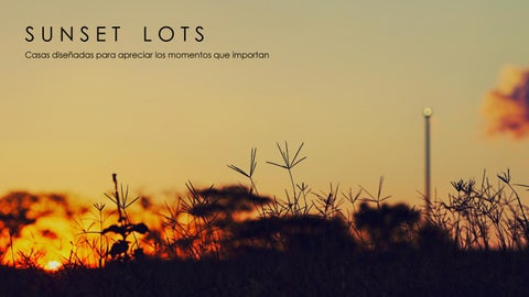 Sunset Lots at Green City 第 2 页