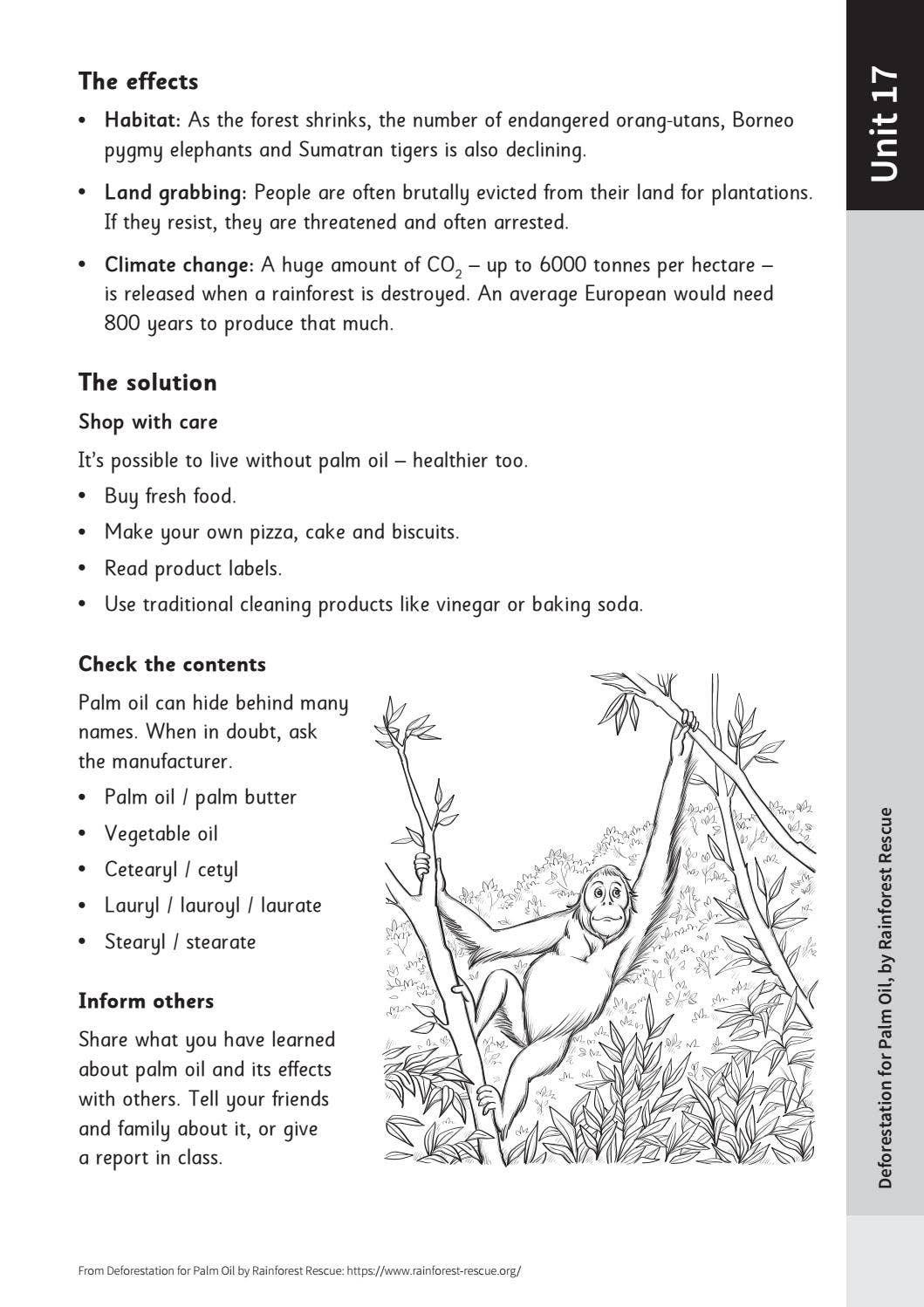 Picture of Complete Comprehension Book 6 by Schofield & Sims - Issuu