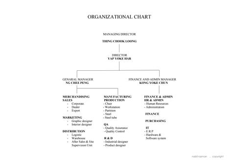Practical Training Portfolio (Diploma) 第 4 页