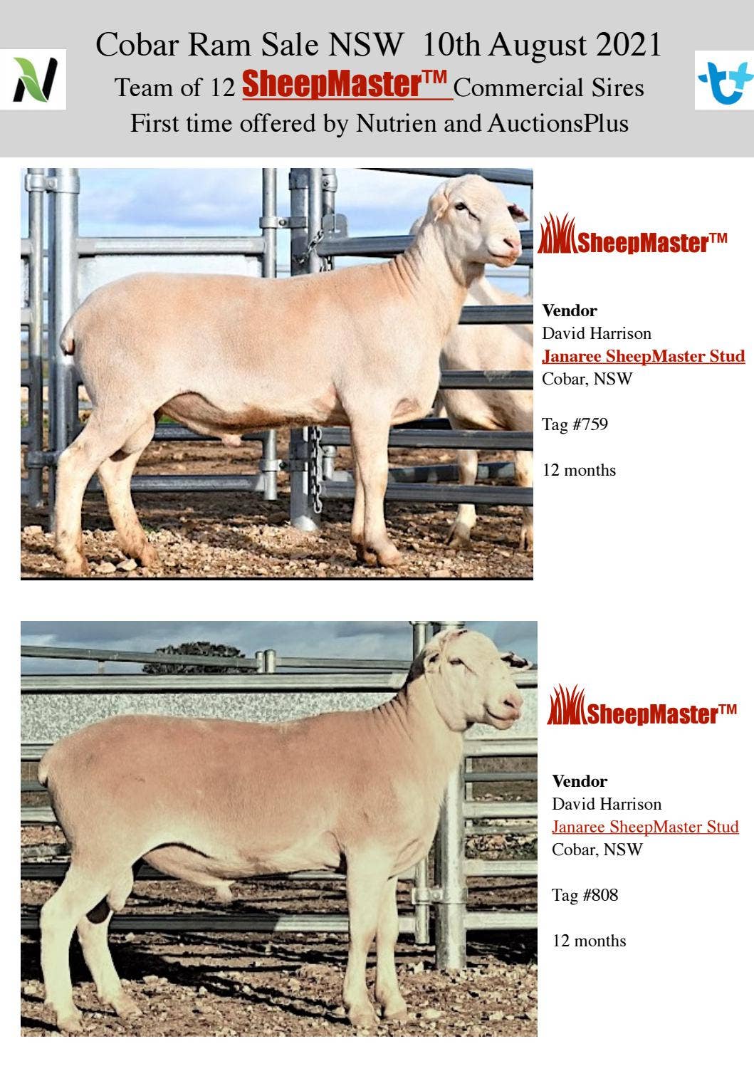 SheepMaster™ at the Cobar Ram Sale by sheepmaster1 - Issuu