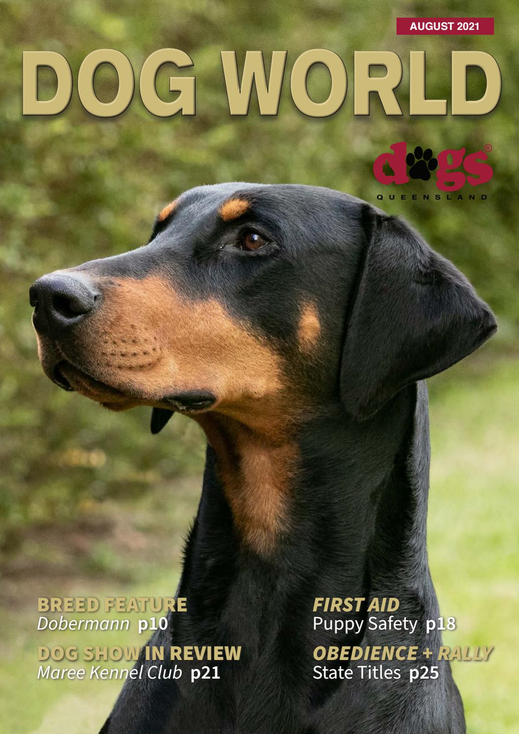 DOG WORLD MAGAZINE AUGUST 2021 by Dogs Queensland Issuu