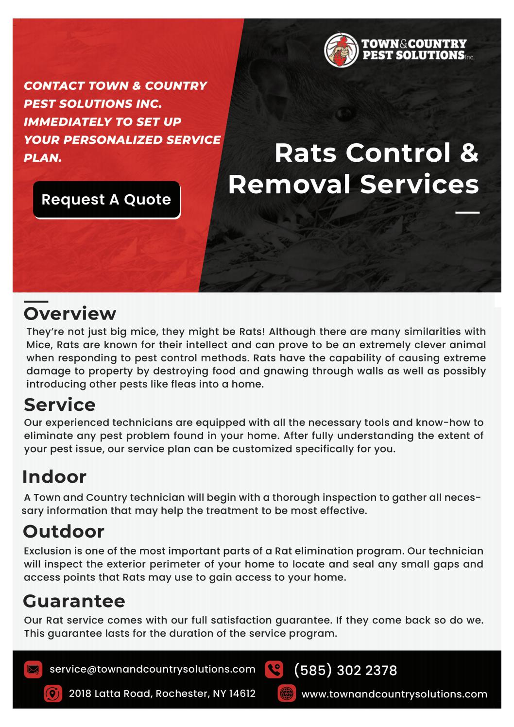 exterminator syracuse ny syracuse termite control by infographicses
