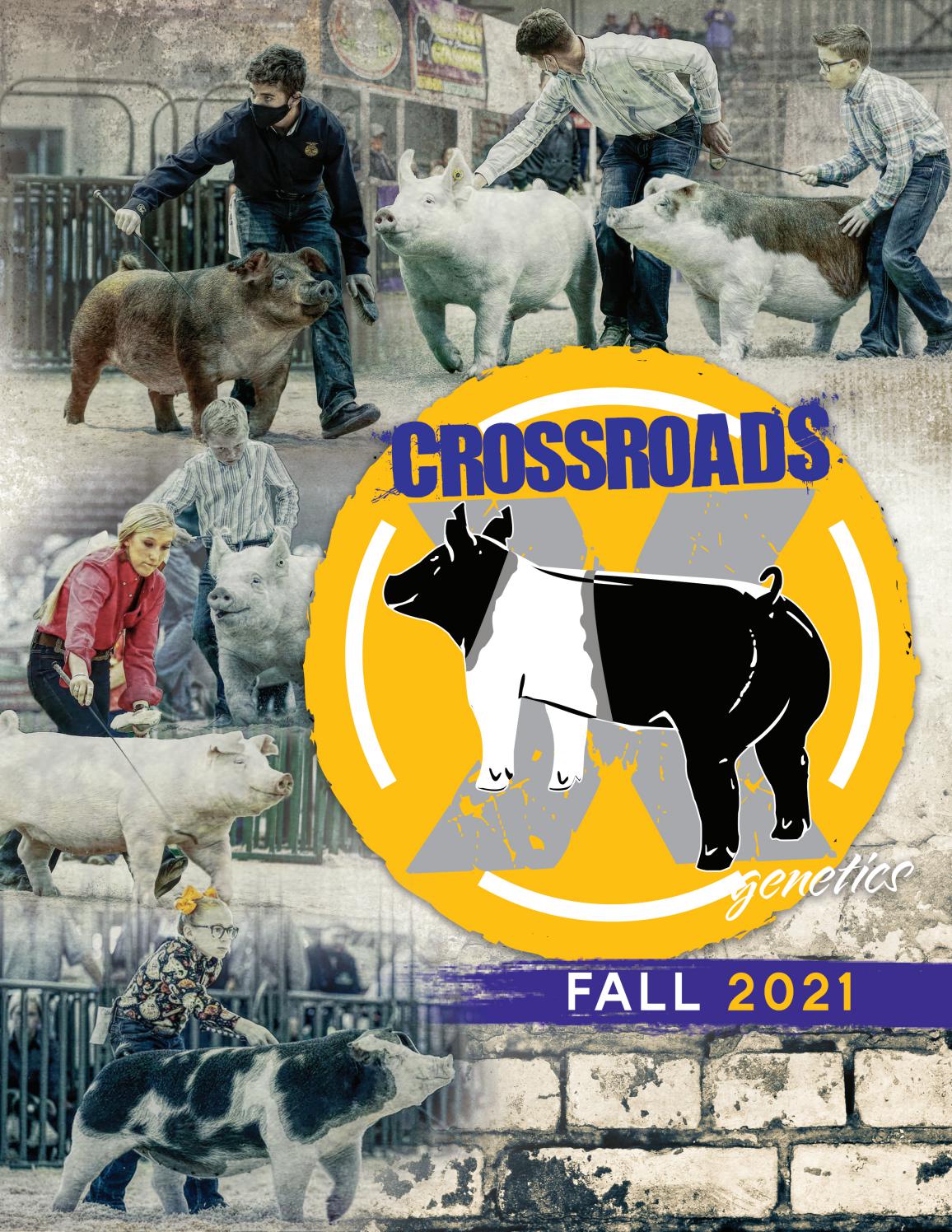 Crossroads Fall 2021 Boar Stud Catalog by Novel Designs Issuu