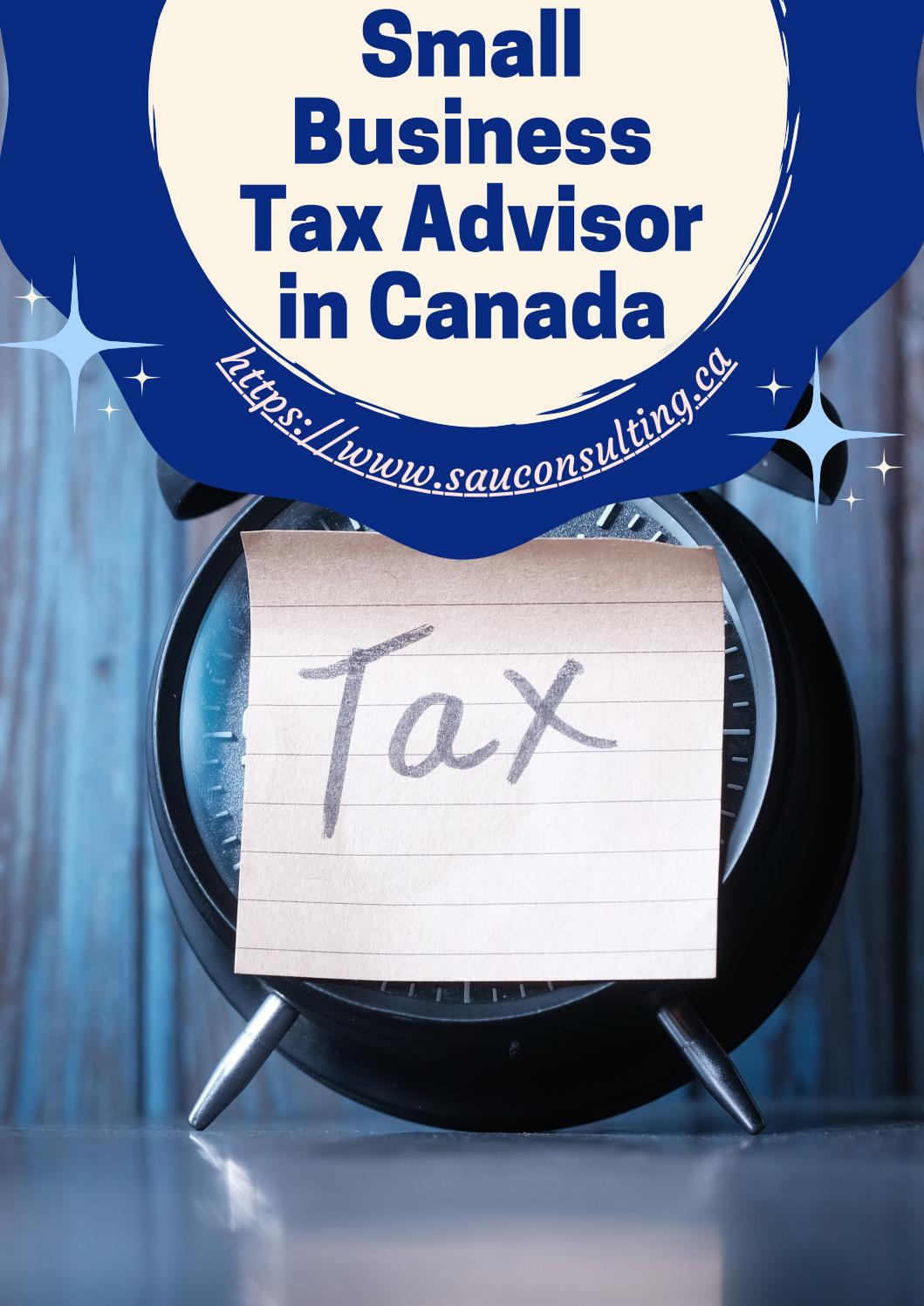 Professional Small Business Tax Advisor in Canada SAU Consulting